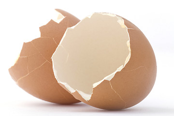 Image showing Shells of the egg.