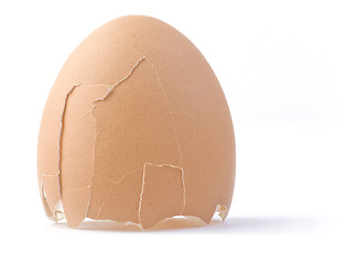 Image showing Shell of the egg