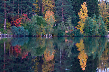 Image showing Fall Color Bunny