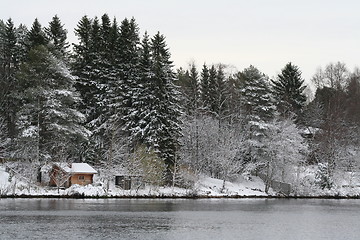 Image showing First Snow