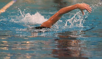 Image showing Freestyle Swimming