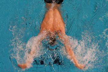 Image showing Butterfly Swimming