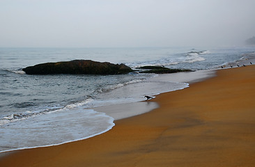 Image showing Foggy Morning on the Beach