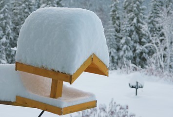 Image showing Bird feeder