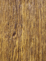 Image showing Wood