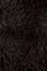 Image showing Black wool