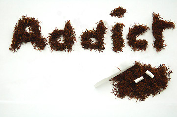 Image showing Tobacco Addict