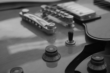 Image showing Beautiful Archtop Electric Guitar