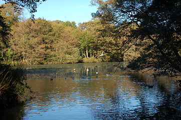 Image showing The Lake