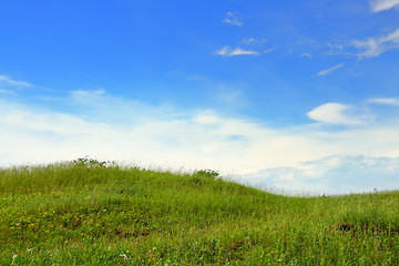 Image showing green grass hill