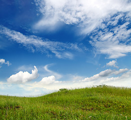 Image showing green grass hill