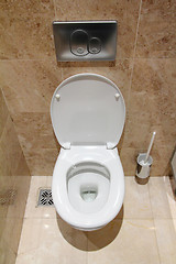 Image showing lavatory pan