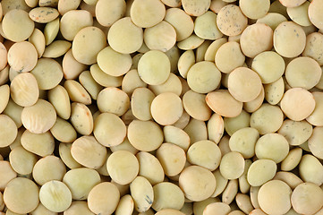 Image showing Lentils