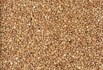 Image showing Buckwheat