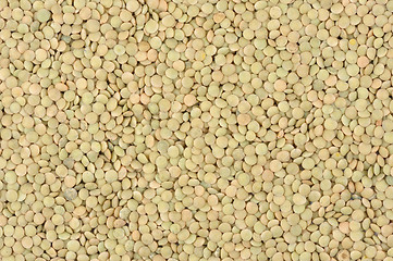 Image showing Lentils