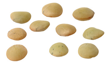 Image showing Lentils