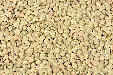 Image showing Lentils