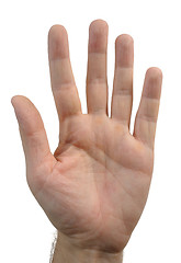 Image showing Gesture