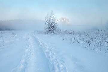 Image showing Frosty winter morning