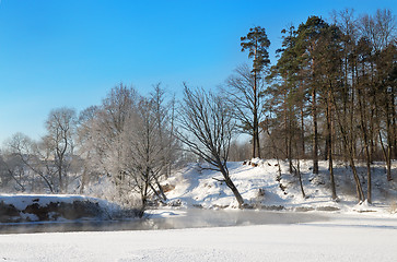 Image showing Frosty winter morning