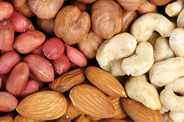 Image showing Set of nuts