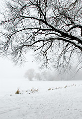 Image showing Winter landscape