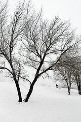 Image showing Winter landscape