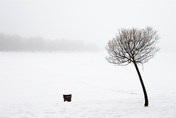 Image showing Winter landscape