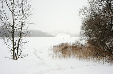 Image showing Winter landscape