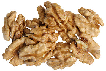 Image showing walnut (Juglans regia)