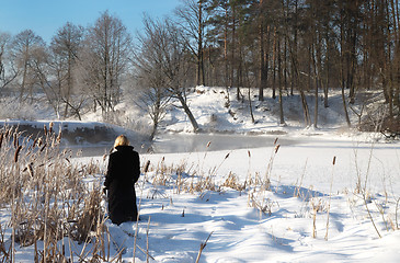 Image showing Frosty winter morning