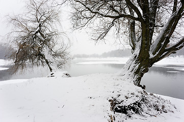 Image showing Winter landscape