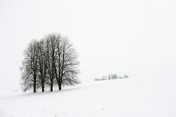 Image showing Winter landscape