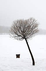 Image showing Winter landscape