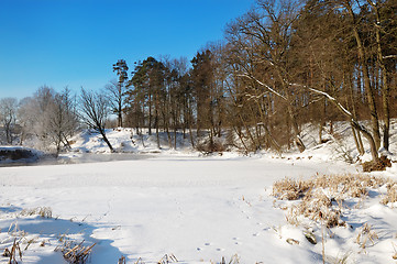 Image showing Frosty winter morning