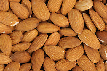 Image showing Almonds