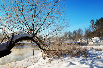 Image showing Frosty winter morning