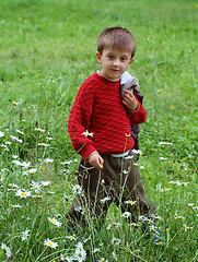 Image showing Boy in the meadow.