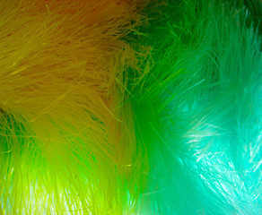 Image showing Rainbow duster