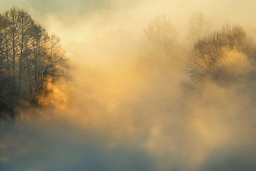 Image showing Frosty winter morning