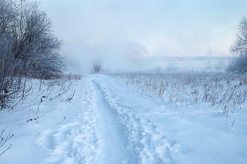 Image showing Frosty winter morning