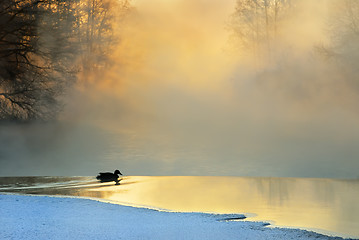 Image showing Frosty winter morning