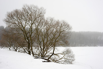 Image showing Winter landscape