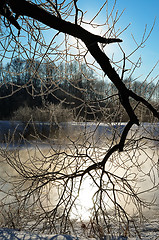 Image showing Frosty winter morning