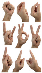 Image showing Set of gestures