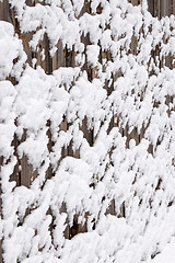 Image showing Snow on fence