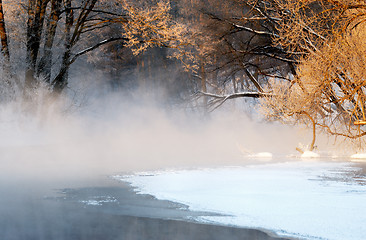 Image showing Frosty winter morning