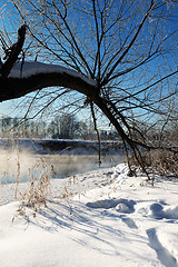 Image showing Frosty winter morning