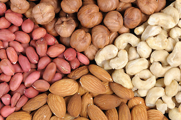 Image showing Set of nuts