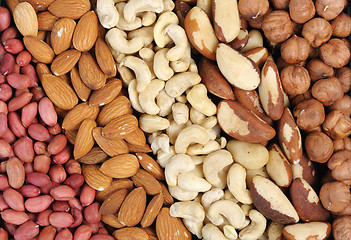 Image showing Set of nuts